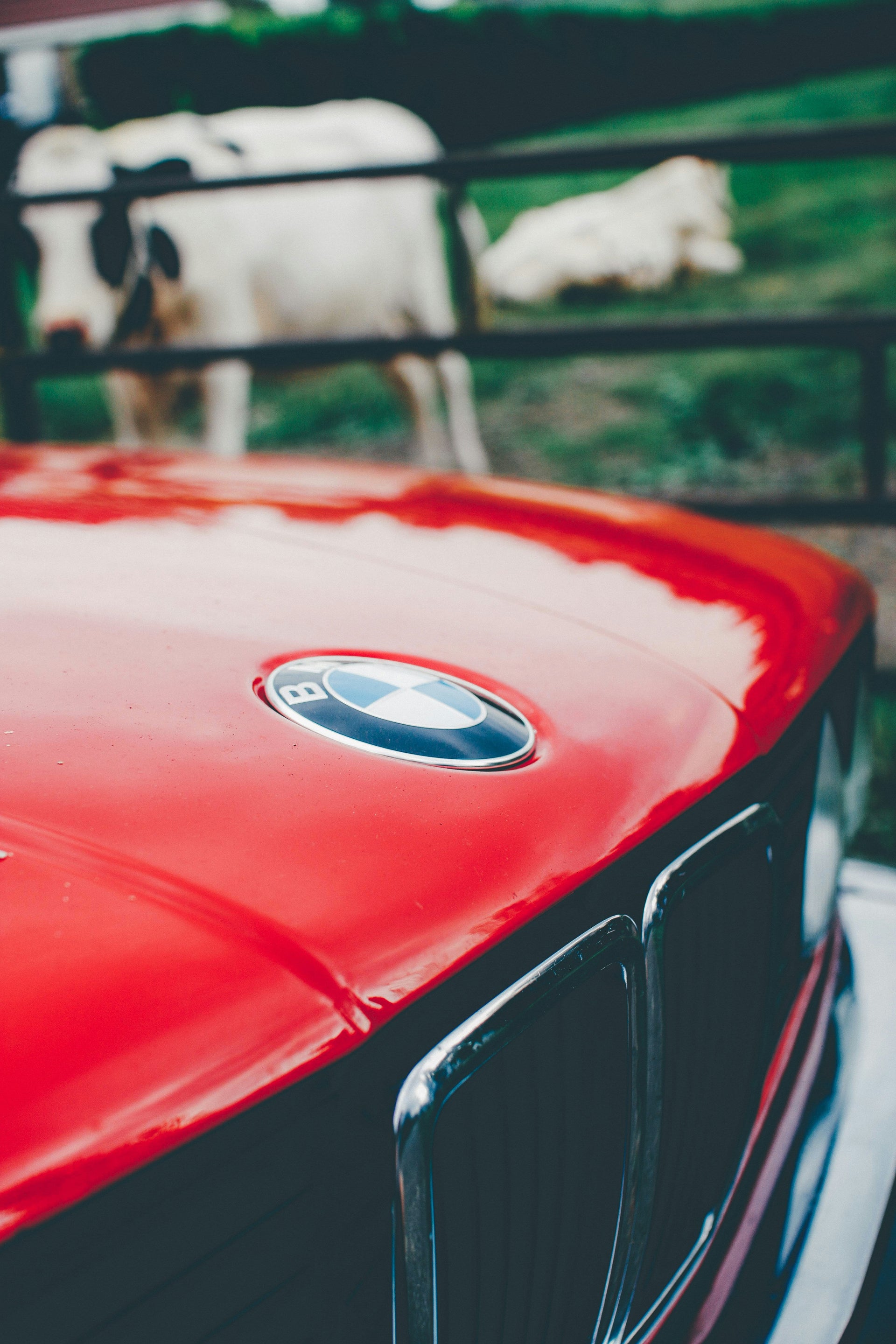 Entretien BMW simplifié – Nettoyage, Polissage & Soin de l’habitacle